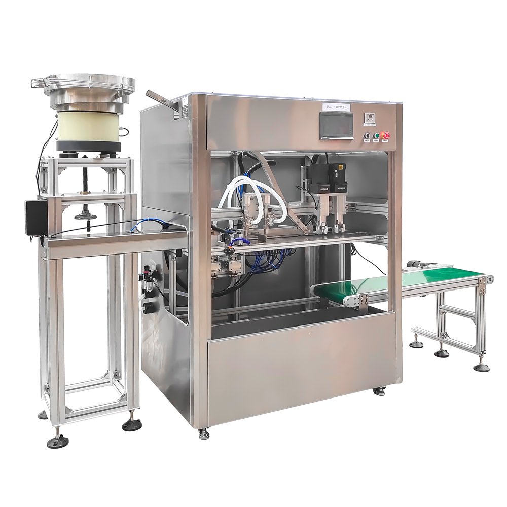 Self-standing bag double-head cabinet filling machine